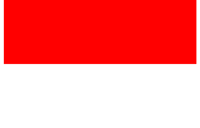 Indonesia Flag