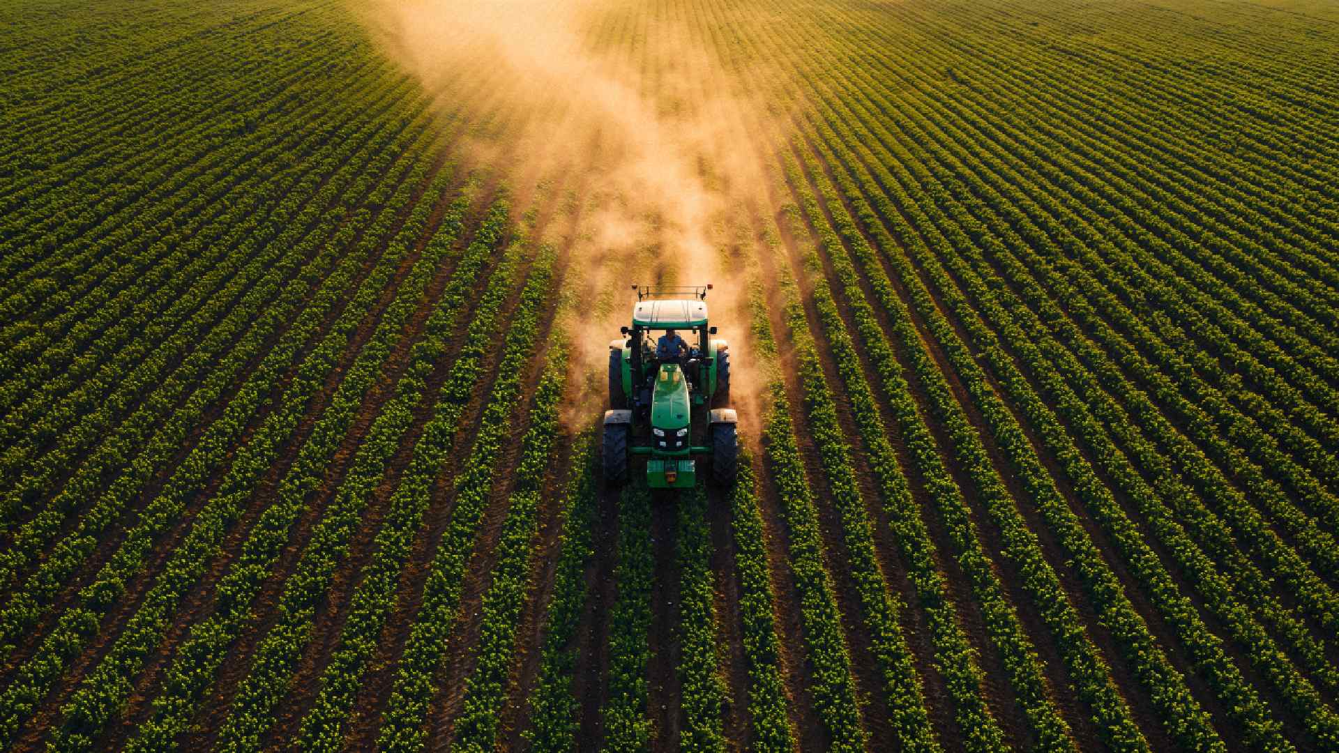 tractor-working-green-field